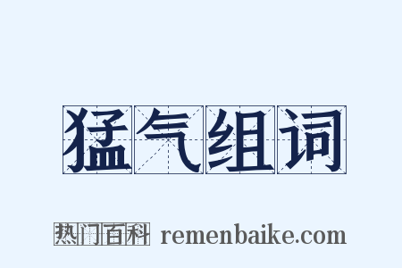 猛气组词是什么意思的图片